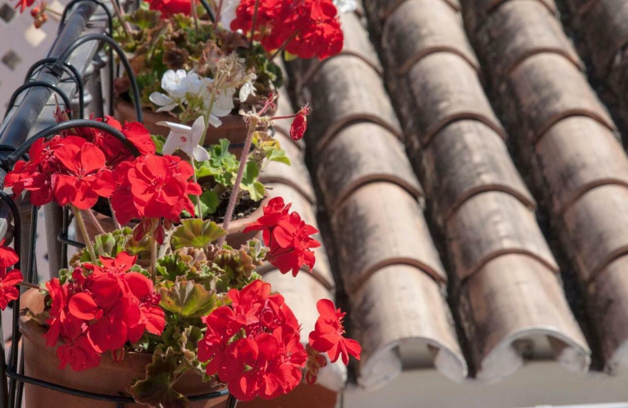 Apartmán La Blanca Casita Màlaga Exteriér fotografie